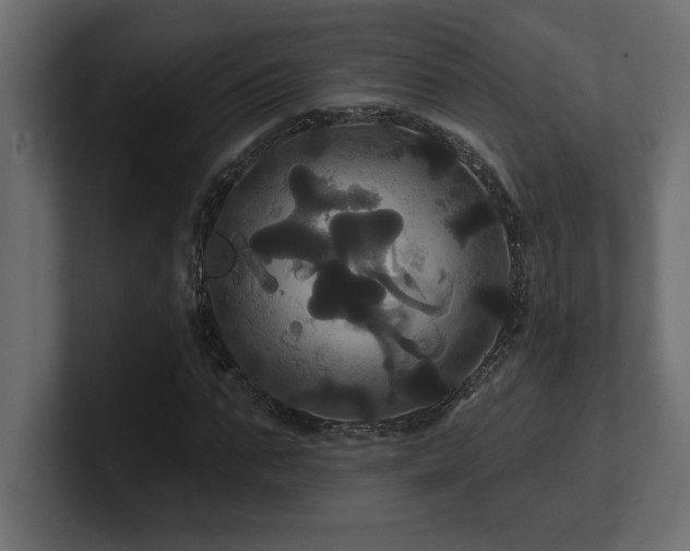 X0000100920871200806241342