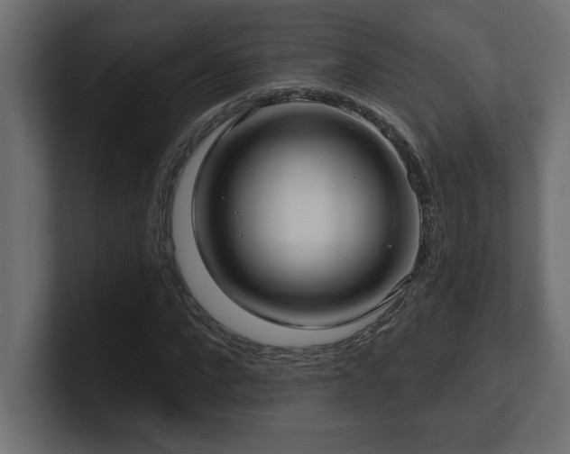 X0000100920872200806241342