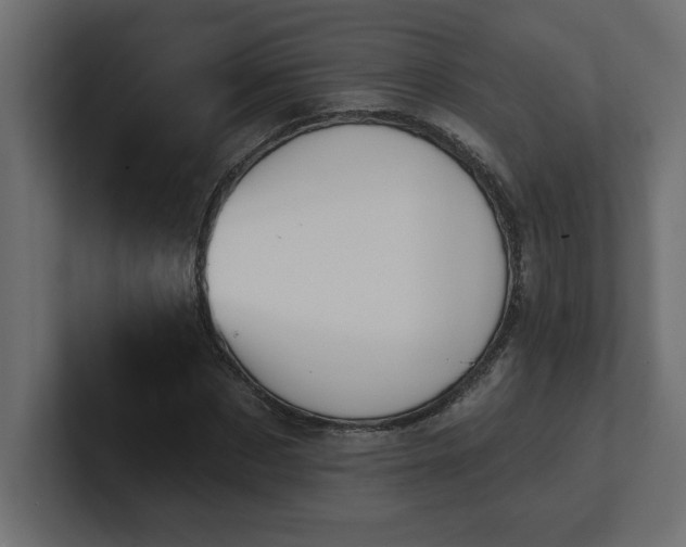 X0000100920873200806241342