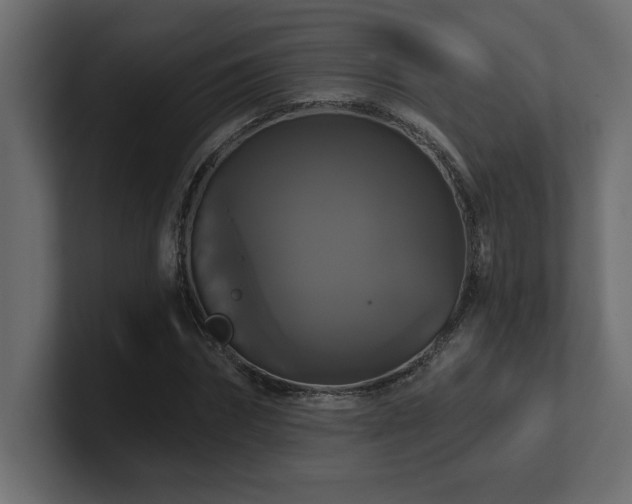 X0000100920874200806241342