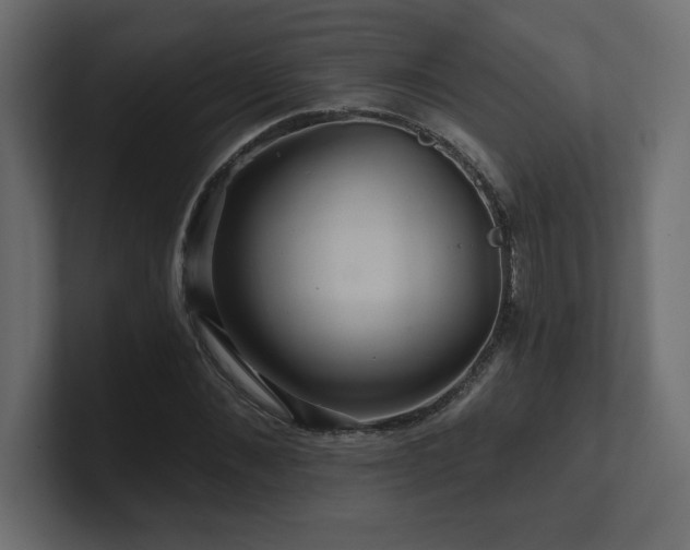 X0000100920876200806241342