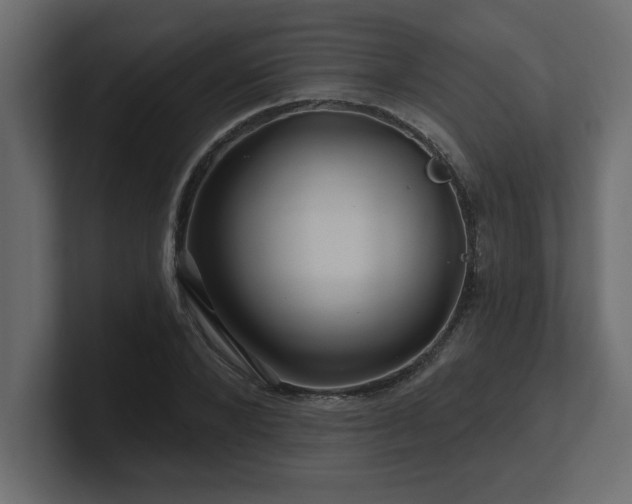 X0000100920880200806241342