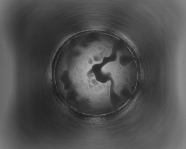 X0000100920883200806241342