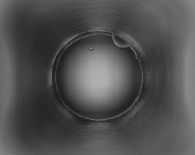X0000100920884200806241342