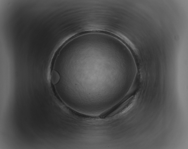 X0000100920885200806241342