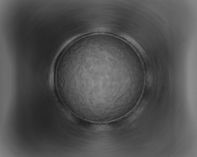 X0000100920886200806241342