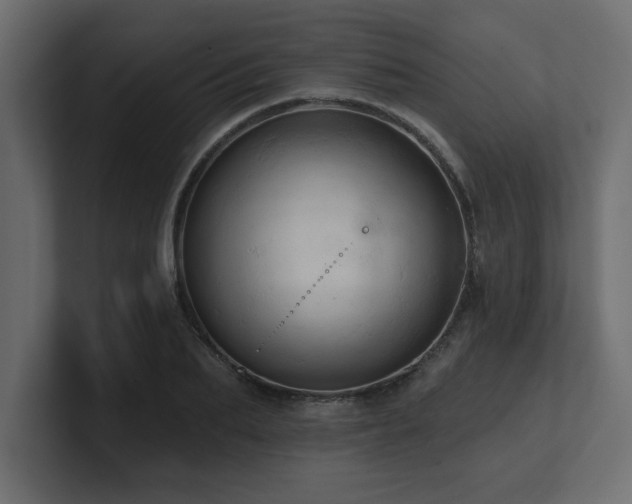 X0000100920887200806241342
