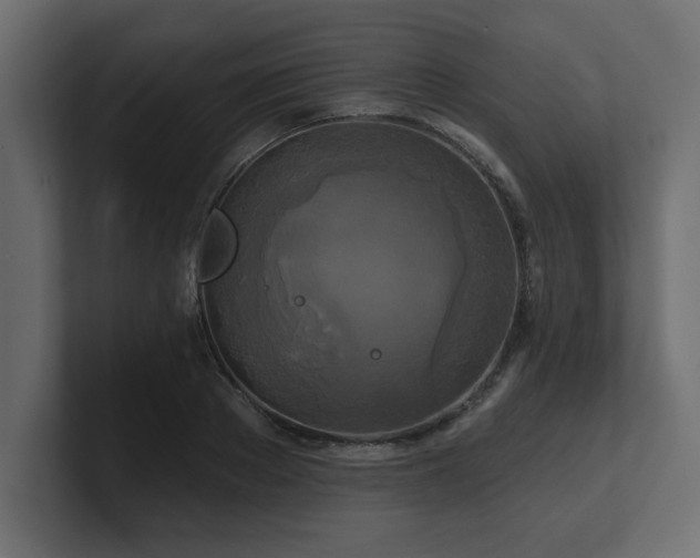 X0000100920889200806241342