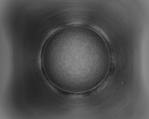 X0000100920890200806241342