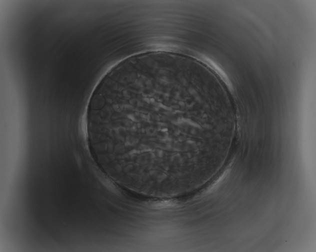X0000100920891200806241342