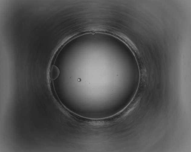 X0000100920893200806241342