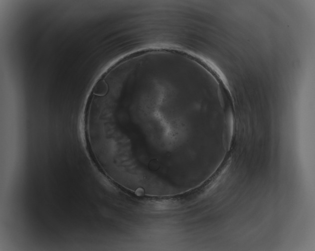 X0000100920895200806241342