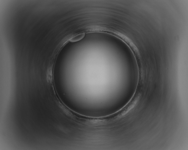 X0000100920897200806241342