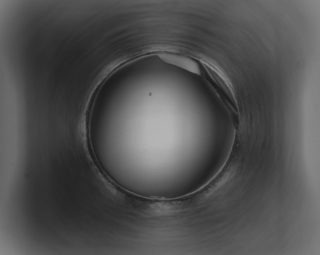 X0000100920898200806241342