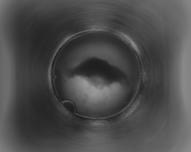 X0000100920899200806241342