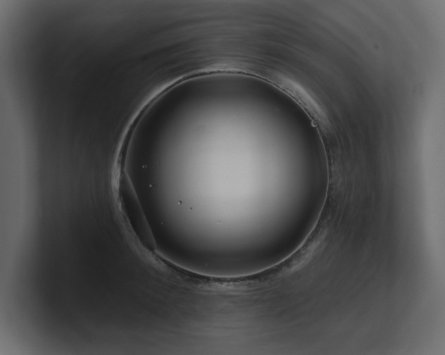 X0000100920900200806241342