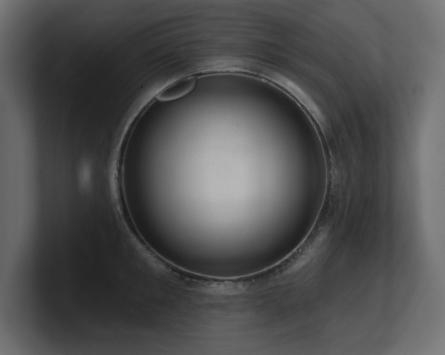 X0000100920901200806241342