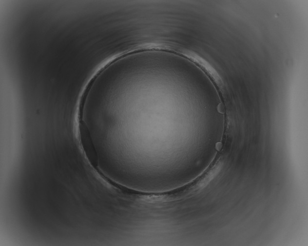 X0000100920902200806241342