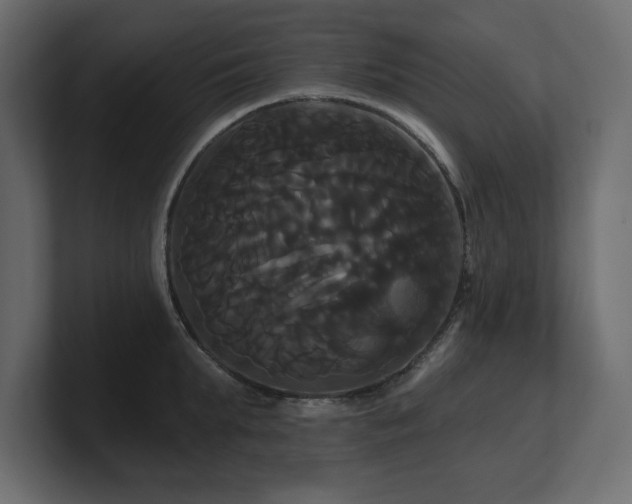 X0000100920903200806241342
