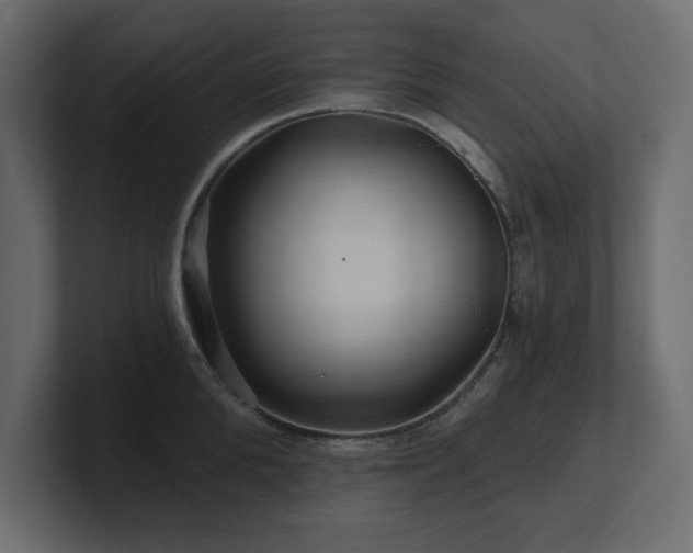X0000100920904200806241342