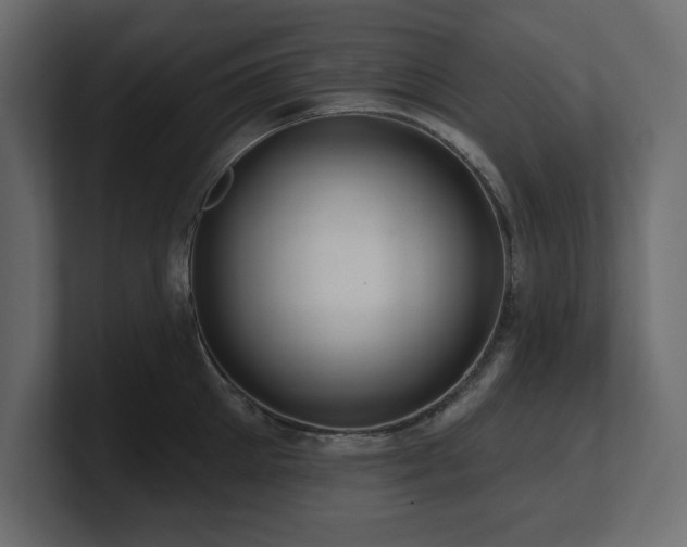 X0000100920905200806241342