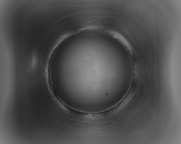 X0000100920906200806241342