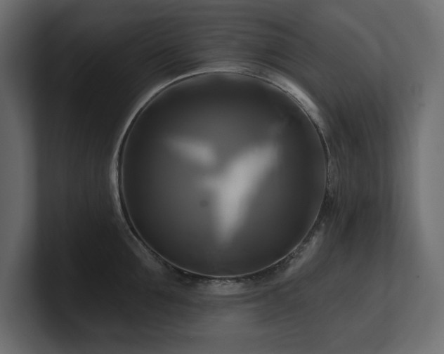 X0000100920907200806241342