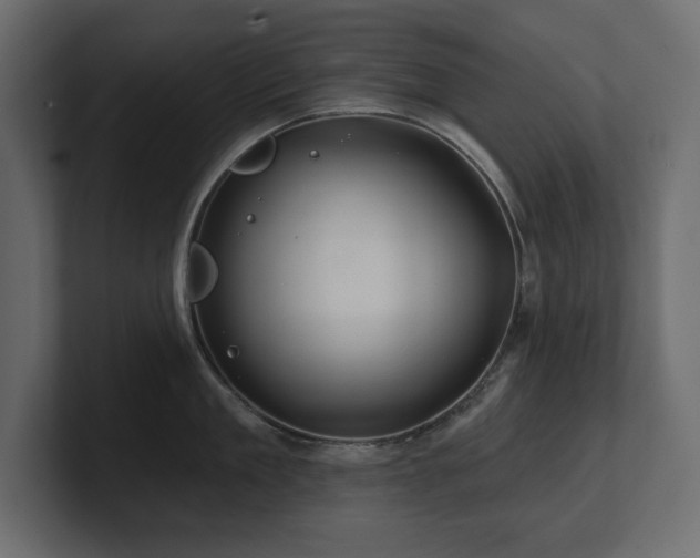 X0000100920909200806241341