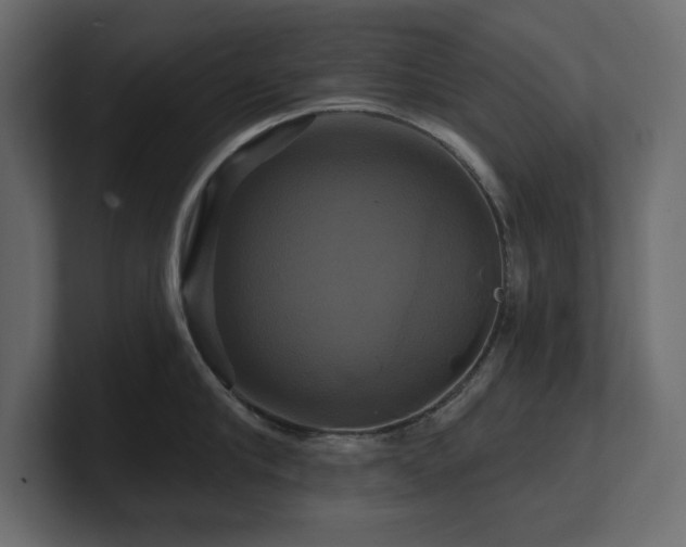 X0000100920910200806241341