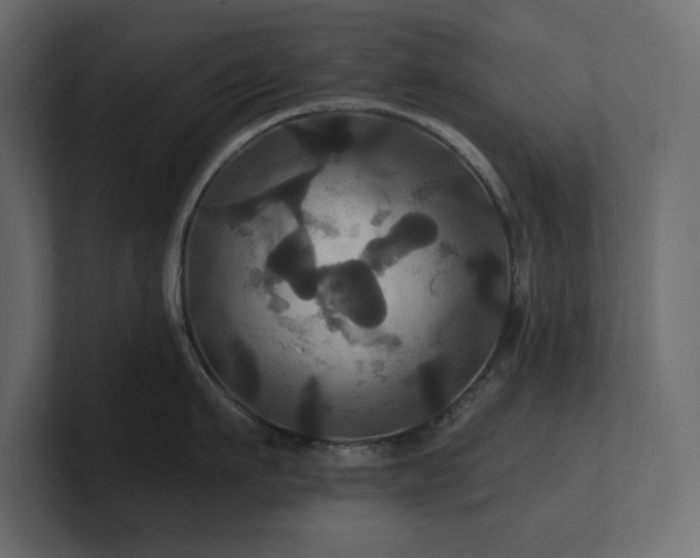 X0000100920911200806241341