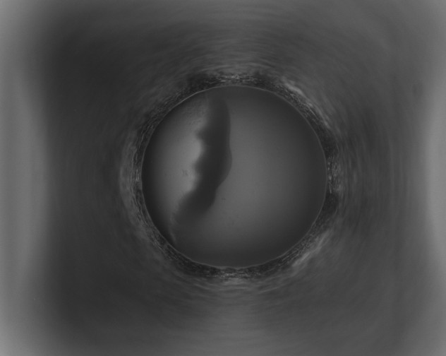 X0000100920913200806241341