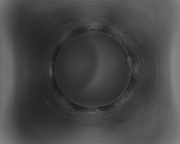 X0000100920916200806241341