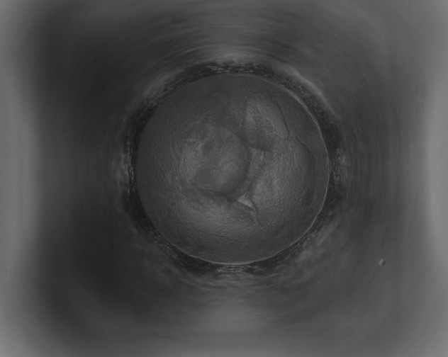 X0000100920918200806241341