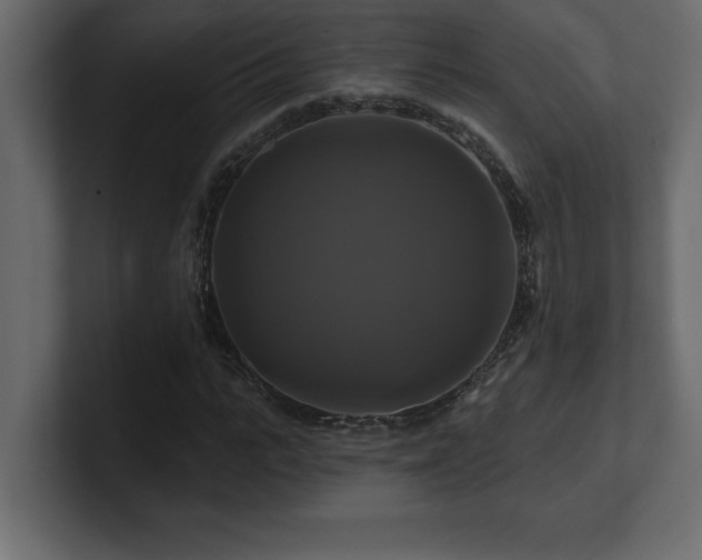 X0000100920919200806241341