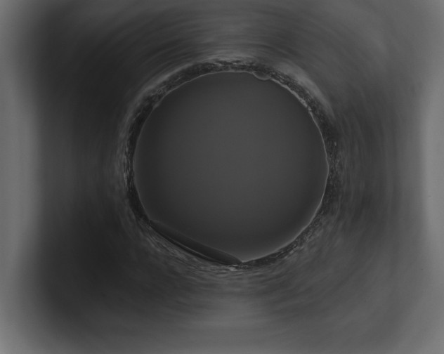 X0000100920920200806241341