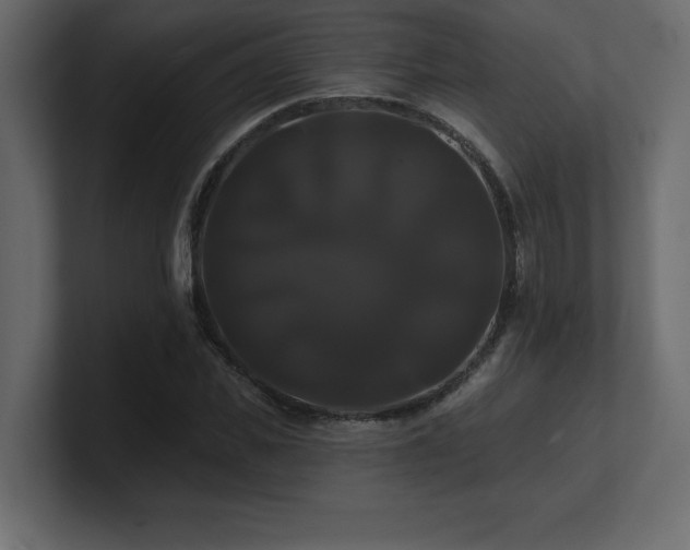 X0000100920925200806241341