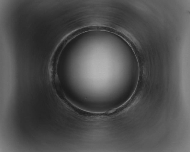X0000100920926200806241341