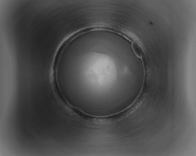 X0000100920928200806241341