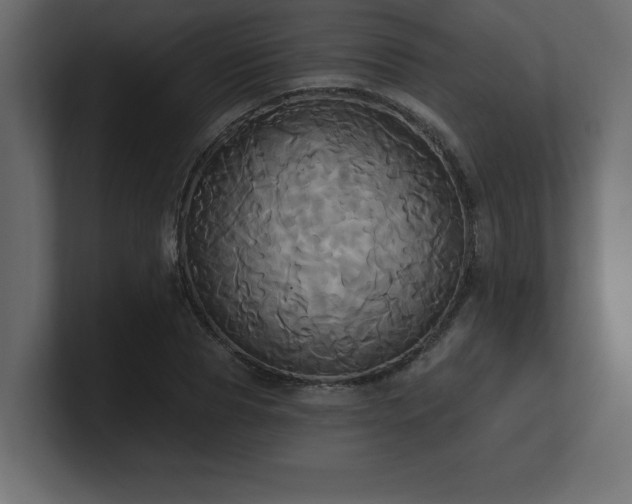 X0000100920929200806241341