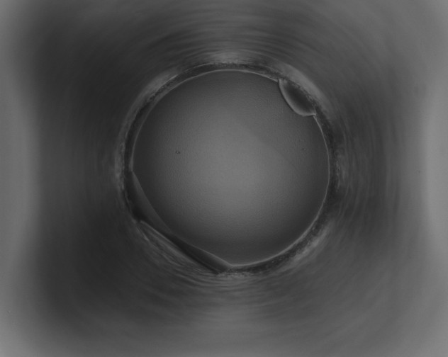 X0000100920930200806241341