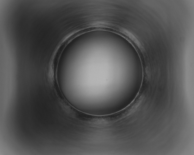 X0000100920931200806241341