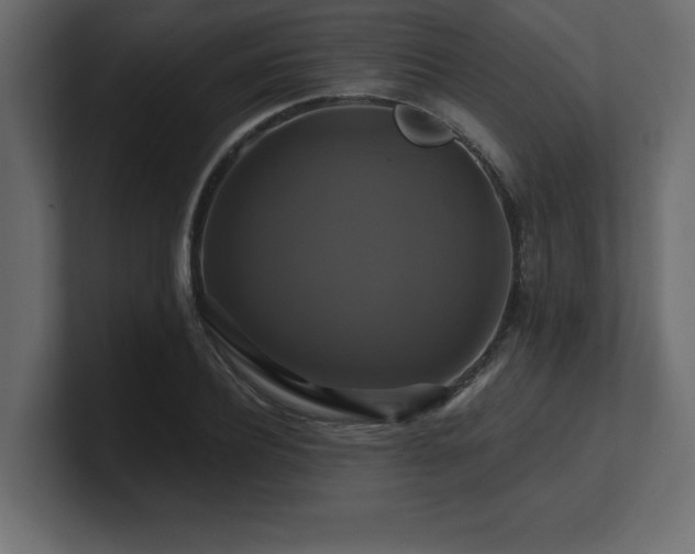 X0000100920932200806241341