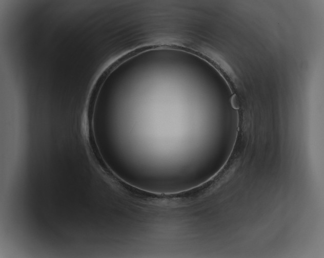 X0000100920936200806241341