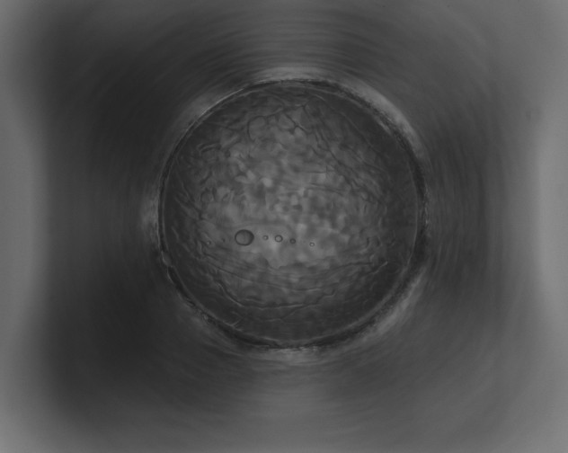 X0000100920937200806241341