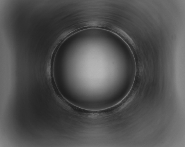 X0000100920938200806241341