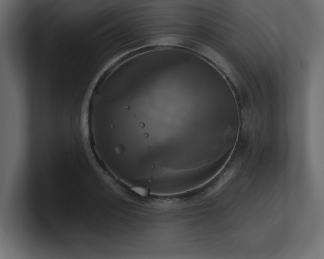 X0000100920939200806241341