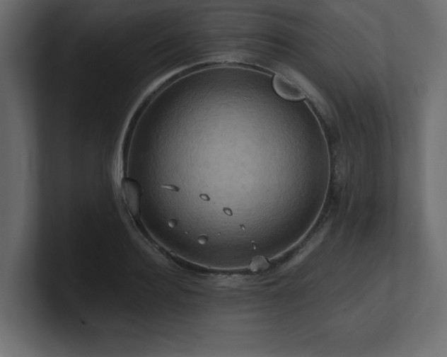X0000100920940200806241341