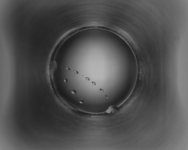 X0000100920942200806241341