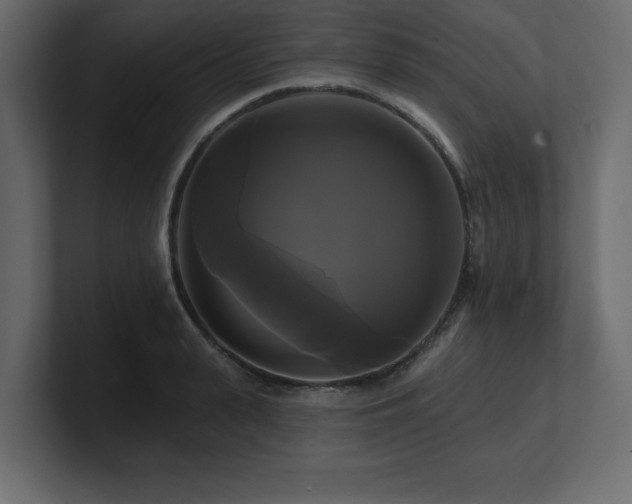 X0000100920943200806241341