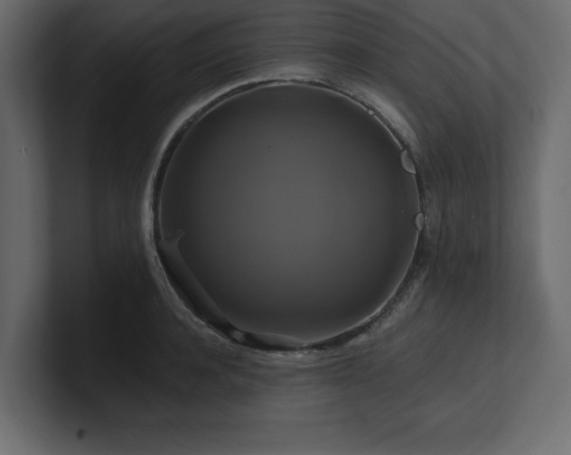 X0000100920944200806241341